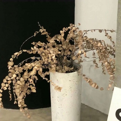 Furry绘画动态灵感兽圈群